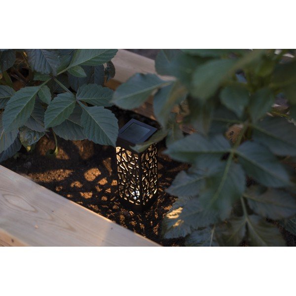 Súprava 3 závesných solárnych LED lampáš Star Trading Izola, výška 11 cm-image-2