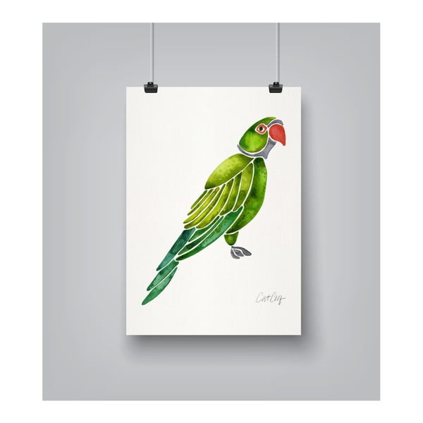 Plagát Americanflat Parrot, 30 x 42 cm