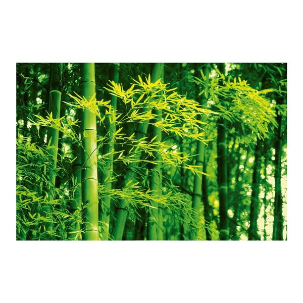 Maxi plagát Bamboo In Spring, 175x115 cm