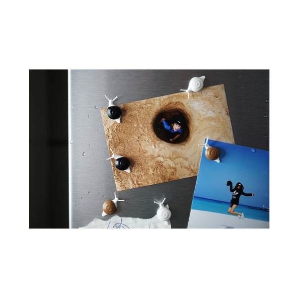 Sada 6 magnetov Qualy&CO Snail-image-2