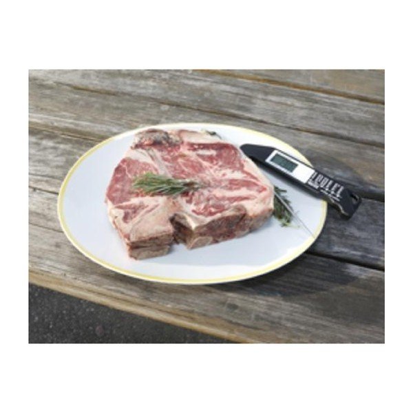 Barbeque teplomer Kikkerland-image-1