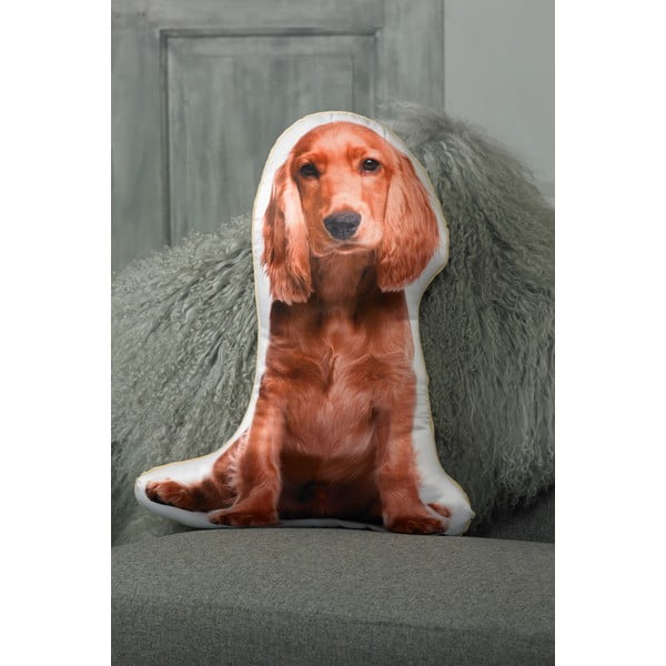 Vankúšik s potlačou Zlatého kokeršpaniela Adorable Cushions-image-1