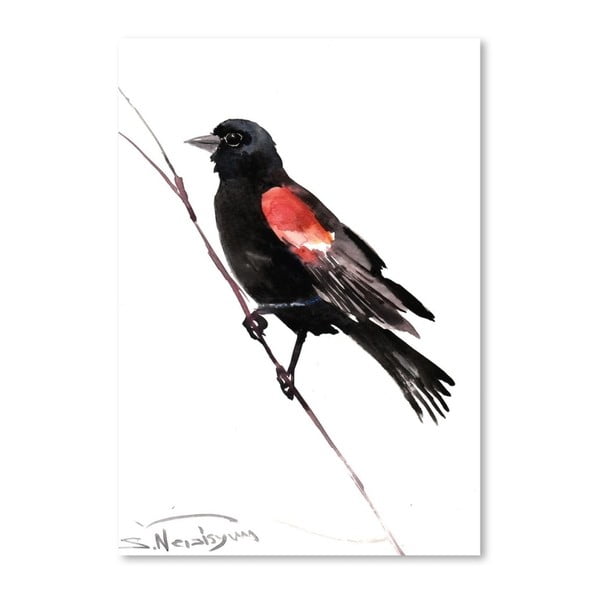 Autorský plagát Red Winged Blackbird od Surena Nersisyana, 60 x 42 cm