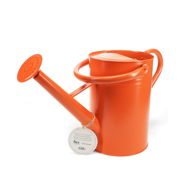 Kovová kanvička na zalievanie 4,5 l – Rex London-image-2