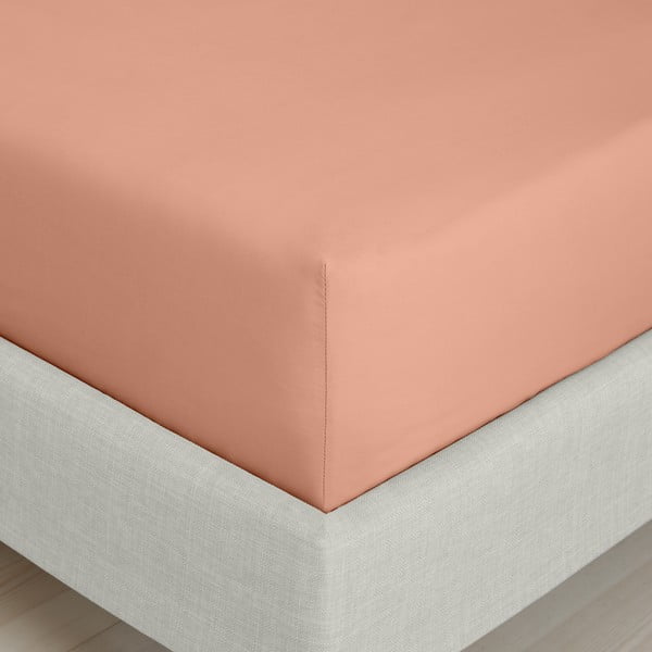 Terakotová napínacia plachta z bavlneného perkálu 90x190 cm Cotton Percale – Bianca-image-3