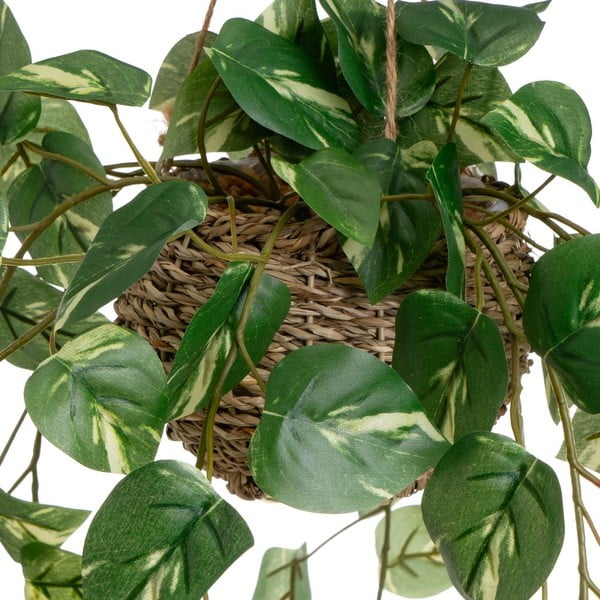 Umelé rastliny v súprave 2 ks (výška 50 cm) – Casa Selección-image-1