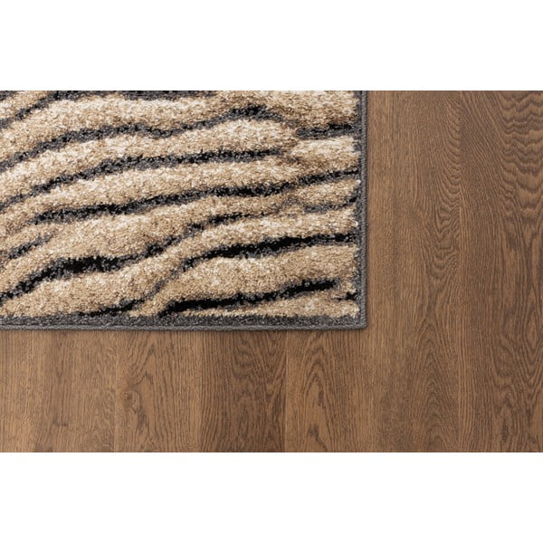 Hnedý koberec 160x220 cm Avanti – FD-image-3