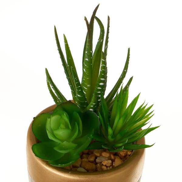 Umelé rastliny v súprave 4 ks (výška  17 cm) Cactus – Casa Selección-image-2