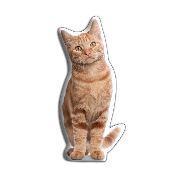 Vankúšik s potlačou ryšavej mačky Adorable Cushions