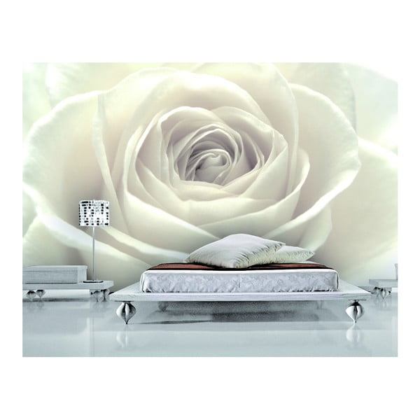 Tapeta Biela ruža, 400x280 cm