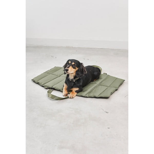Zelený cestovný pelech pre psa 70x100 cm Strada Grolive M – MiaCara-image-3