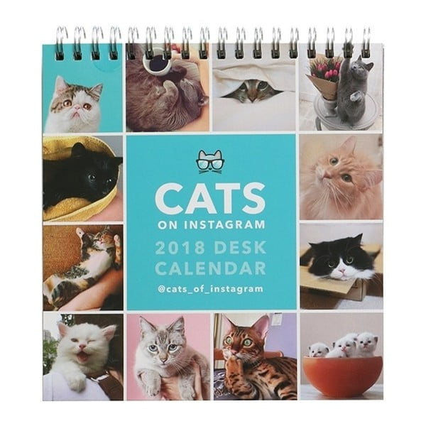 Stolový kalendár na rok 2018 Portico Designs Cats On Instagram
