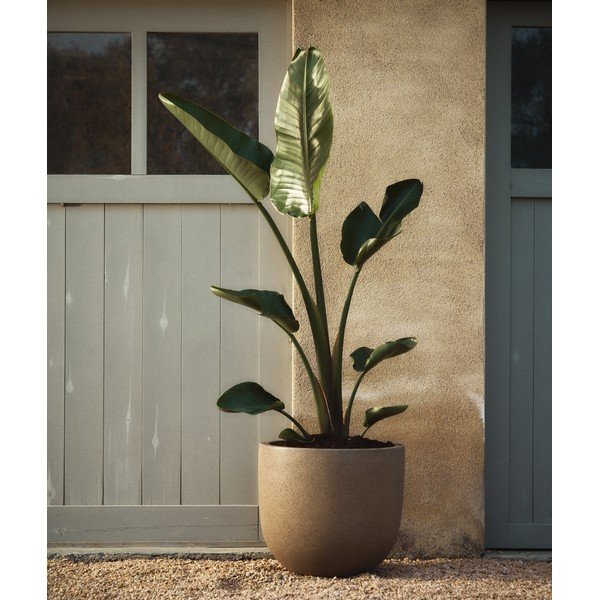 Obaly na kvetináče v súprave 2 ks z cementu ø 44 cm Selvi – Kave Home-image-1