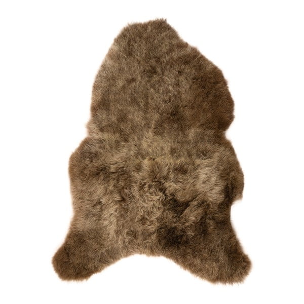 Hnedá ovčia kožušina s krátkym vlasom Arctic Fur Ptelja, 100 × 60 cm