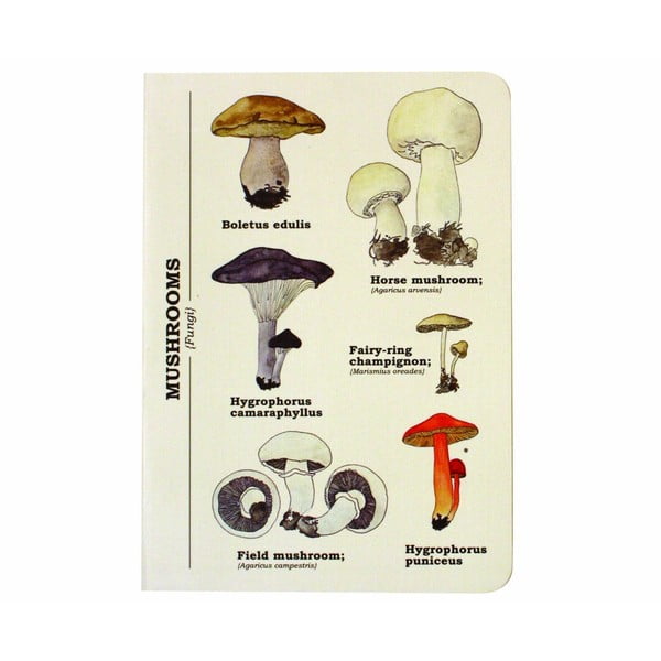 Zápisník Gift Republic Multi Mushroom, veľ. A6