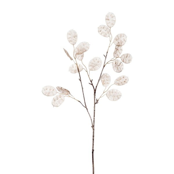 Dekorácia Eukalypt Silver, 68 cm