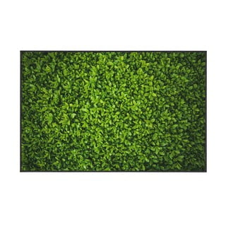 Zelený koberec Oyo home Ivy, 140 x 220 cm