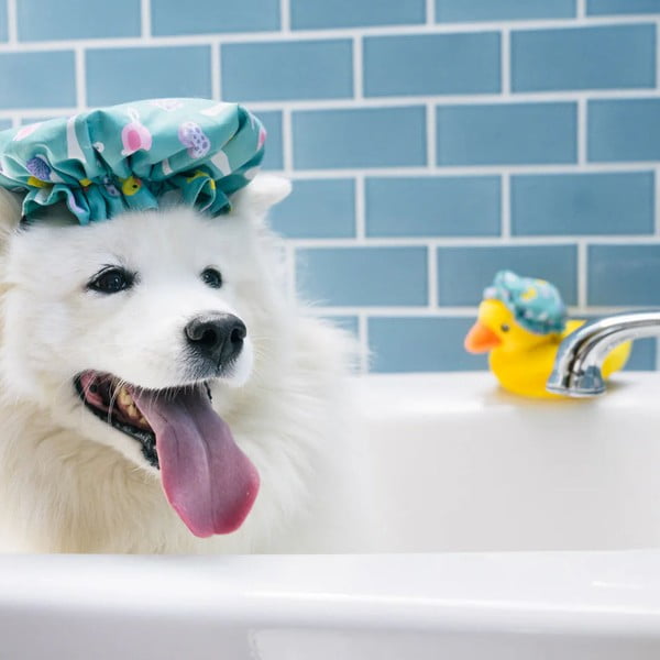 Hračka pre psa Kúpacia čiapka – P.L.A.Y.-image-2