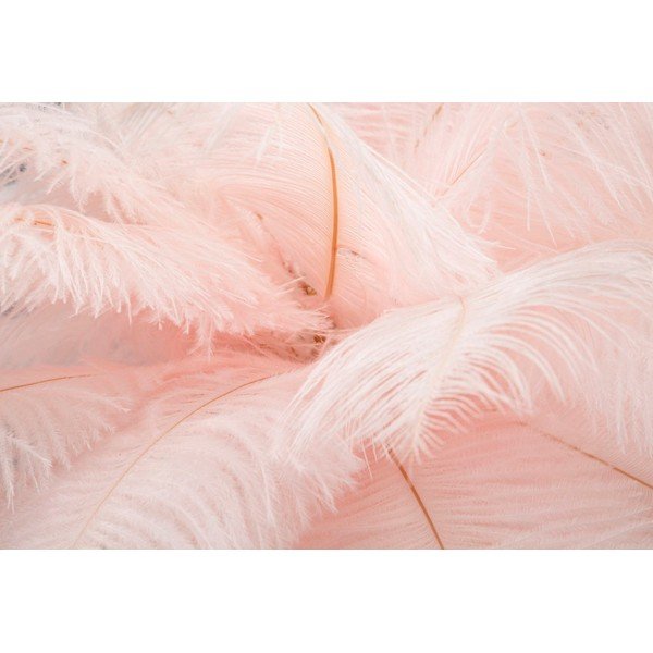 Ružová/v zlatej farbe stolová lampa (výška  55 cm) Palm Pink – Mauro Ferretti-image-4