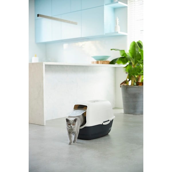Mačacia toaleta 56x40 cm Eco Bailey - Rotho-image-1