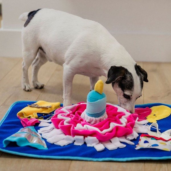 Čuchacia dečka Pawty – P.L.A.Y.-image-1