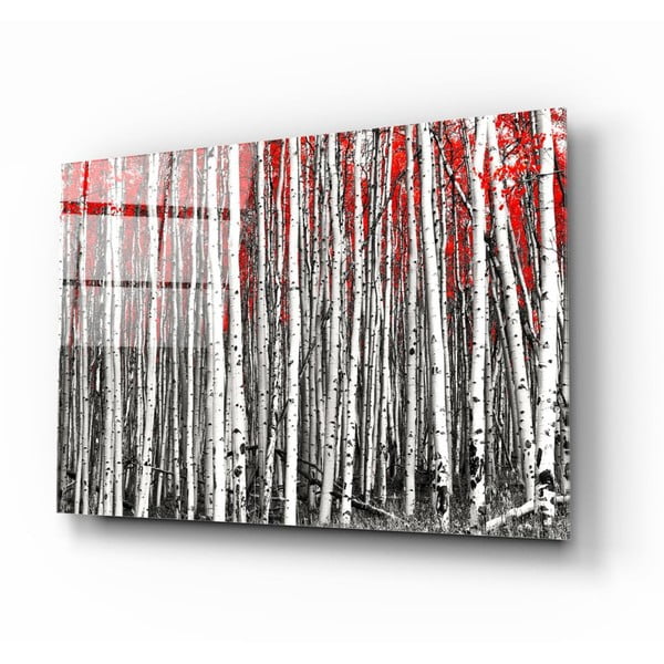 Sklenený obraz Insigne Birches