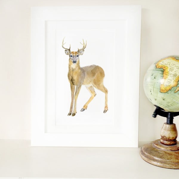 Plagát Deer A4