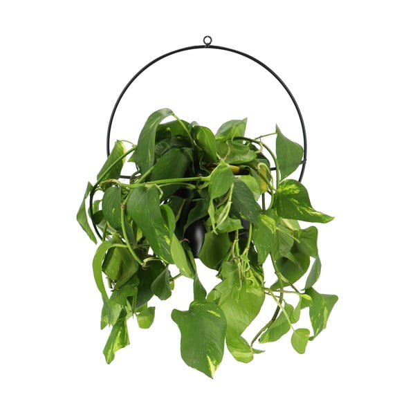 Čierny nástenný držiak na kvetináč Esschert Design Planter-image-1