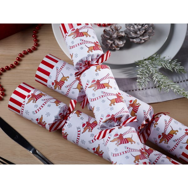 Vianočné crackery v súprave 6 ks Racing Sausage Dog – Robin Reed-image-3