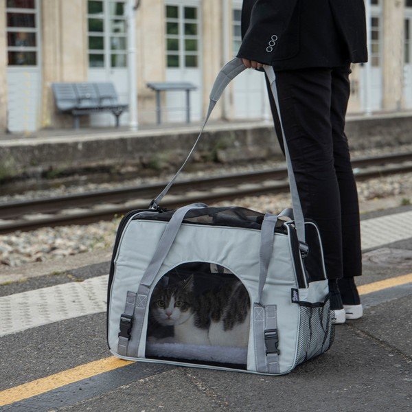 Prepravná taška pre domáceho miláčika 25,5x48 cm – Love Story-image-1