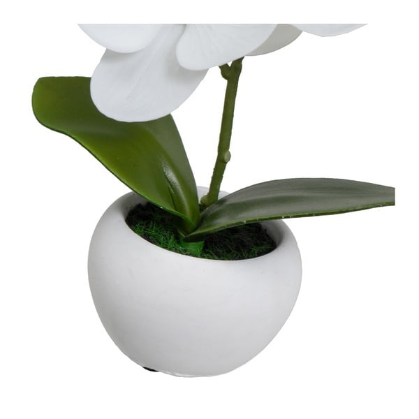 Umelé rastliny v súprave 3 ks (výška 15 cm) Orchid – Casa Selección-image-2