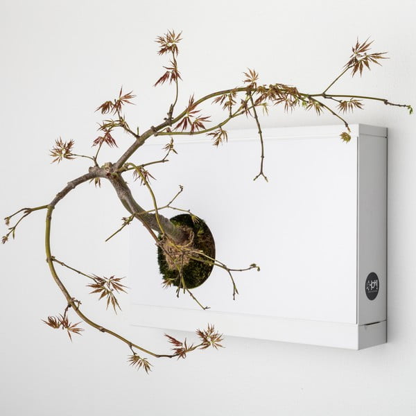 Nástenný kvetináč Artkami Sinistra, 38x27 cm