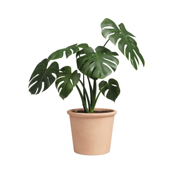 Kvetináč z terakoty ø 39 cm Saramago Cilindro – Artevasi-image-1