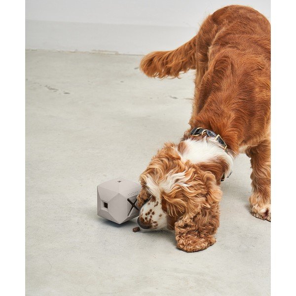 Hračka pre psa Dado Greige – MiaCara-image-2