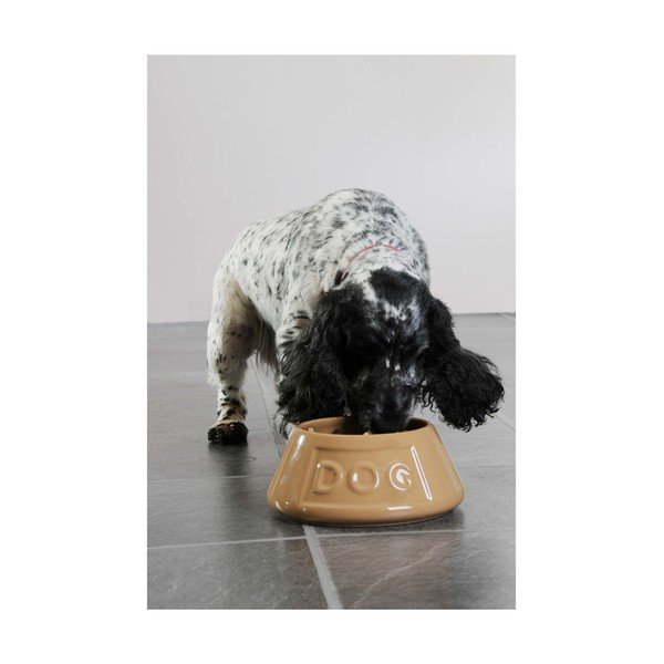 Kameninová miska pre psov Mason Cash Pet Cane Dog, ø 21 cm-image-4