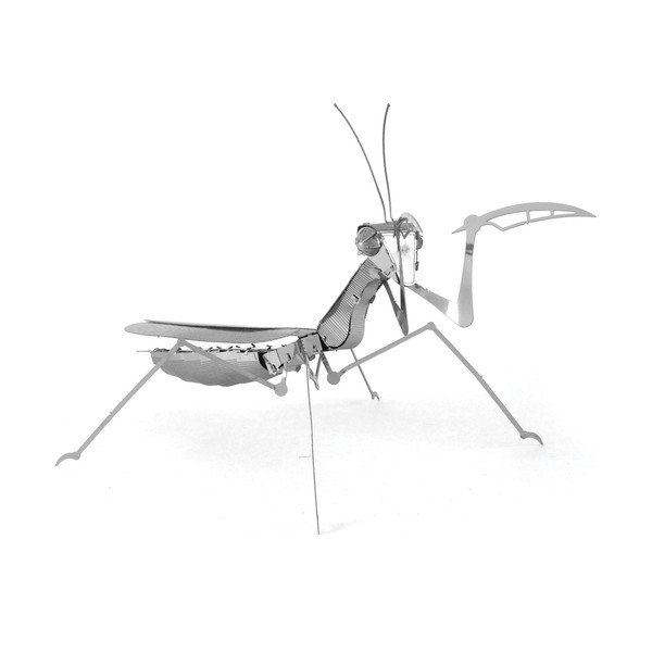 Model Praying Mantis-image-2