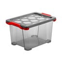 Plastový úložný box s vekom Evo Total - Rotho