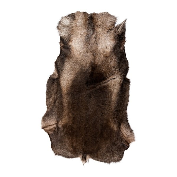 Tmavohnedá sobia kožušina Arctic Fur Reino, 120 × 100 cm