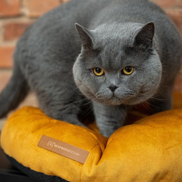 Žltý matrac pre psa ø 50 cm Coco S – Rexproduct-image-3