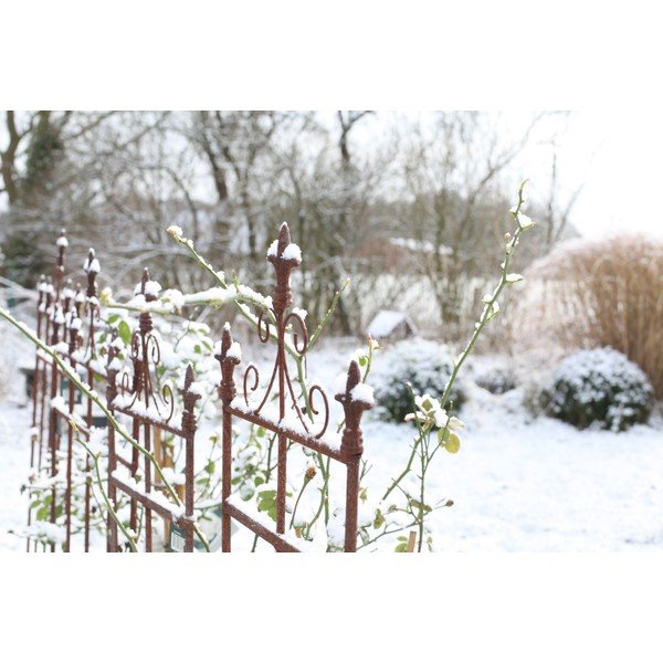 Kovová podpera rastlín Lilly – Esschert Design-image-1