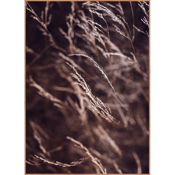 Plagát v ráme 50x70 cm Mellow Grasses 7 – Malerifabrikken