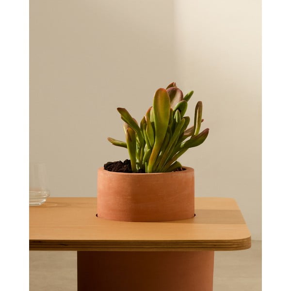 Okrúhly konferenčný stolík v dekore jaseňa v prírodnej farbe 60x110 cm Olaria – Kave Home-image-2