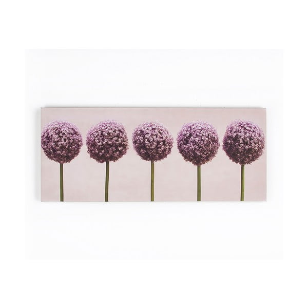 Obraz Graham & Brown Row Of Alliums, 100 × 40 cm