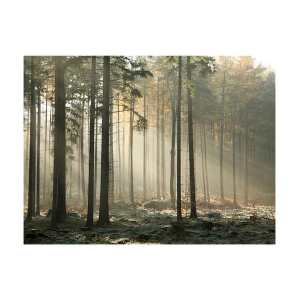 Veľkoformátová tapeta Artgeist Foggy November Morning, 400 x 309 cm
