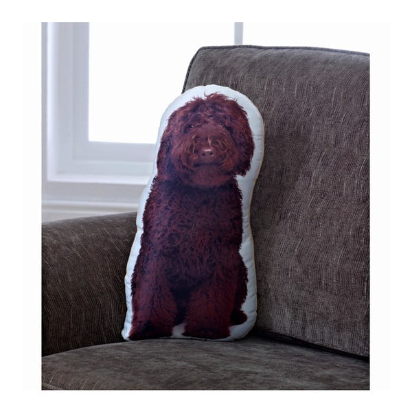 Vankúšik Adorable Cushions cockapoo-image-1