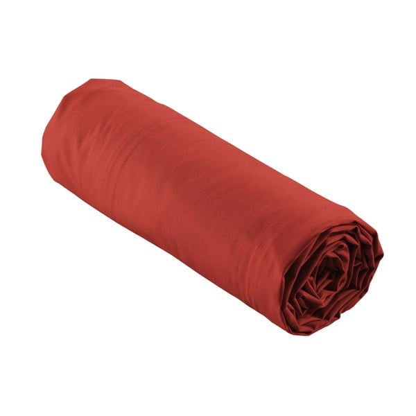 Napínacia plachta z bavlneného perkálu v tehlovej farbe 180x200 cm Percaline – douceur d'intérieur-image-4