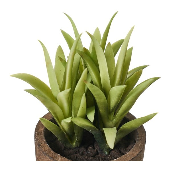 Umelé rastliny v súprave 4 ks (výška  10 cm) Cactus – Casa Selección-image-3