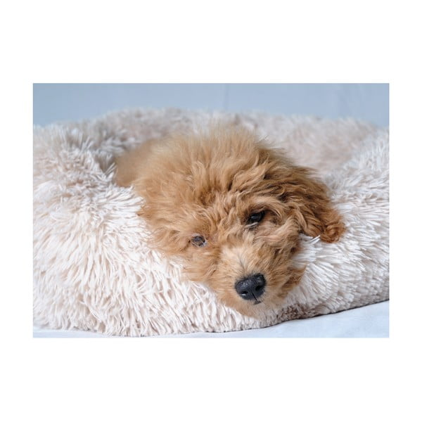 Krémový pelech pre psa ø 55 cm – Love Story-image-3