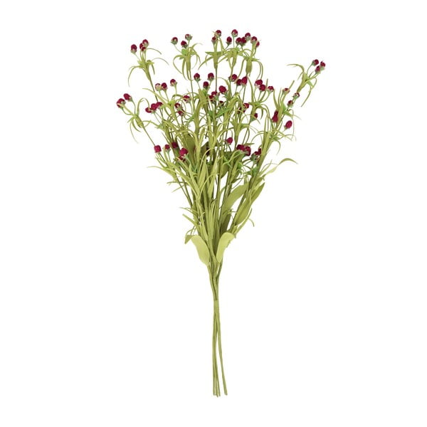 Dekoratívna kvetina Côté Table Adonise Champetre