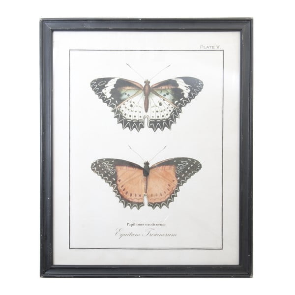 Obraz Clayre & Eef Butterflies, 65 × 80 cm